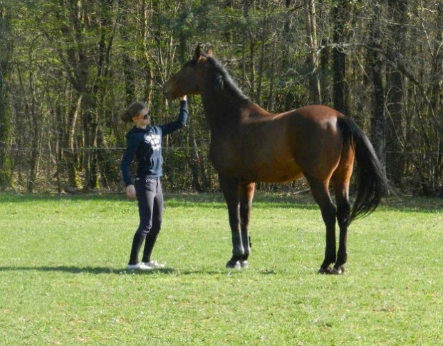  Complicità con l'animale 